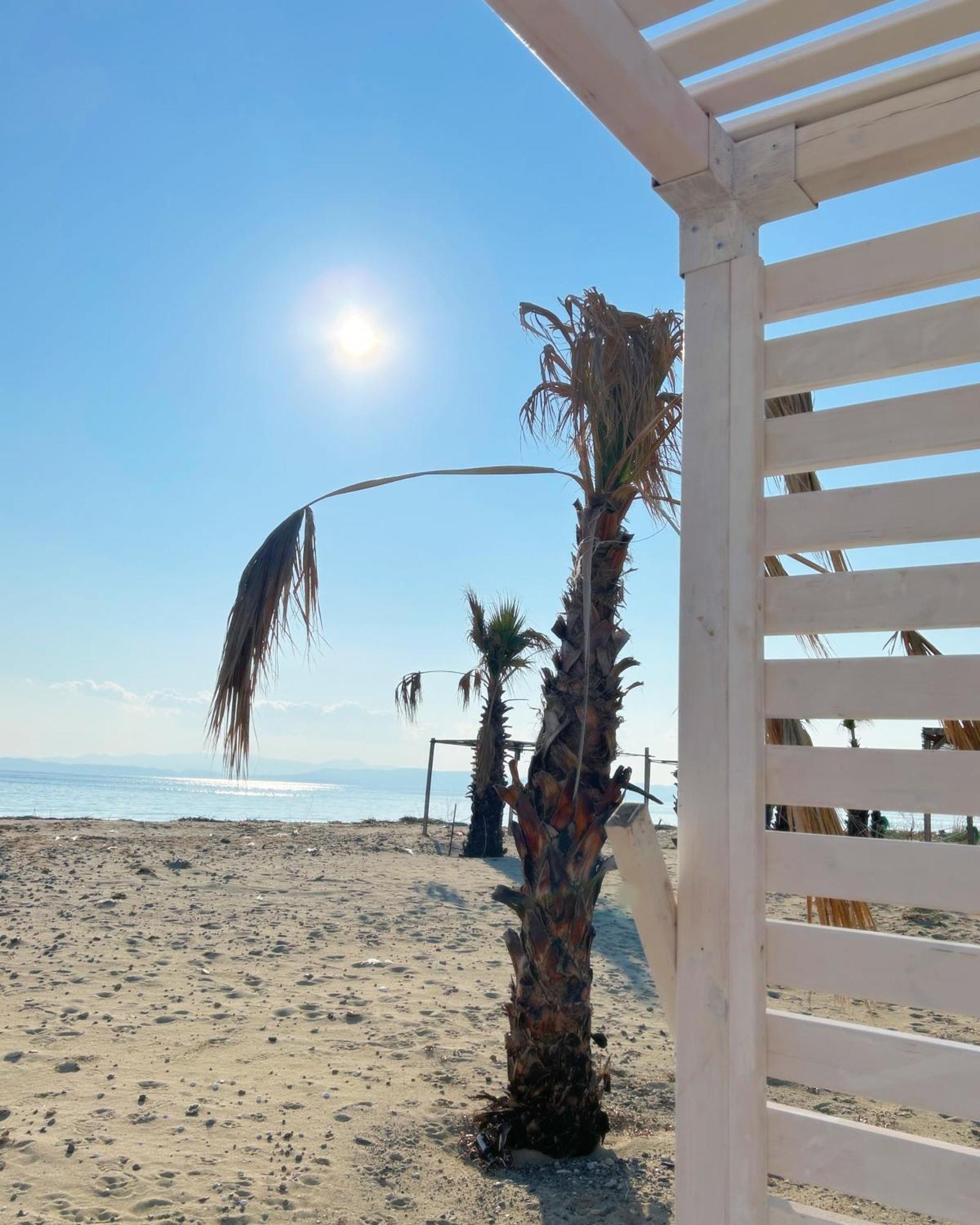 Soho Ayvalik Beach House Hotel Küçükköy Eksteriør billede